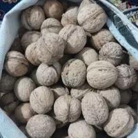 گردو درجه یک