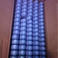 شامپو ی هتلی ایوان|آرایشی، بهداشتی، درمانی|ارومیه, |دیوار