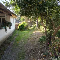 زمین-برای-مشارکت-در-ساخت-سند-شش-دانگ-کاربری-مسکونی