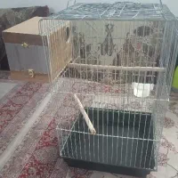 قفس عروس هلندی|لوازم جانبی حیوانات|تهران, تهرانسر مرکزی|دیوار