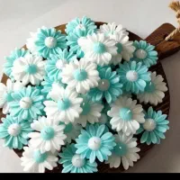 گل  شمعی وباکس