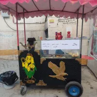 دستگاه تنوری