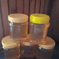 عسل طبیعی و ژل رویال