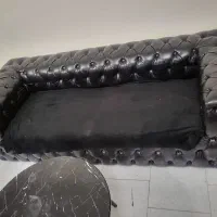 مبلمان چستر و شاه نشین|مبلمان خانگی و میز عسلی|پردیس, فاز ۸|دیوار