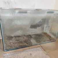 تعدادی آکواریوم|ماهیگیری|کرج, گوهردشت|دیوار