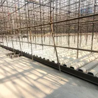 کارگر داربست بند و کارگر ساده