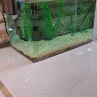 زیبایی منزل