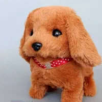 توله سگ پیدا شده