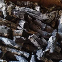 ذغال پسته قهوه خونه ای