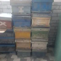 کندو زنبور عسل با قاب