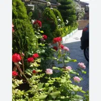 خدمات باغبانی ( گل وگیاه باغچه ای، آپارتمانی)