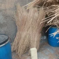 جارو فراشی، جارو سوپوری، جارو شهرداری