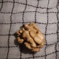 گردو پوست کاغذی و مغز گردوی تویسرکان