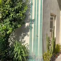 تور گرد ماهیگیری