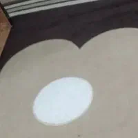 گلیم فرش تمیز ۱۲ متری|گلیم، جاجیم، گبه|یاسوج, |دیوار