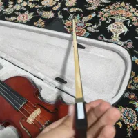 ویلون renato 520|ویولن|یاسوج, |دیوار