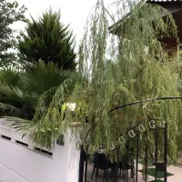 فروش ویلادوبلکس ۱۳۶متری دردهکده مسکونی طبیعت|فروش خانه و ویلا|خشکبیجار, |دیوار