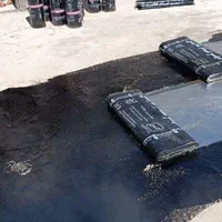 نمایندگی ایزوگام شرق|خدمات پیشه و مهارت|رفسنجان, |دیوار