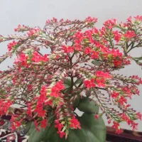 فروش سهم اب از چاه عمیق باغشهر فردس