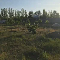 باغ در منطقه خوش آب و هوای اسپیران