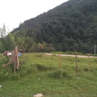 وکالت در دعاوی