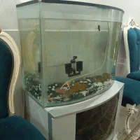 آکواریوم
