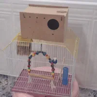 2 عدد قفس.|لوازم جانبی حیوانات|سوسنگرد, |دیوار