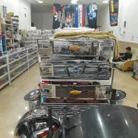 استخدام نیرو ماهر در نصب تزُیینات روی خودرو