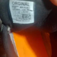 کتانی نو|کیف، کفش، کمربند|اردبیل, |دیوار