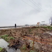 فروش یا معاوضه زمین ۱۲۰۰ تجاری در گیلان. رشت|فروش زمین و ملک کلنگی|تولم شهر, |دیوار