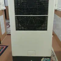 کولرابی سلولزی ۱۸هزار درحدنو