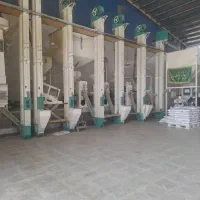 فروش عمده و خرده برنج کامفیروزی و عنبر بو|خوردنی و آشامیدنی|یزد, |دیوار