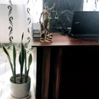 وکیل دادگستری