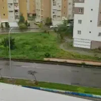 مجتمع-یاس-ناجا