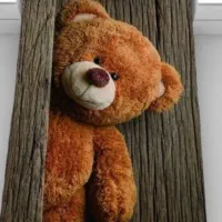 روتختی یک نفره طرح خرسی