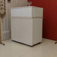 مانکن ولوستر و پیشخوان یا کانتر و دکور مغازه