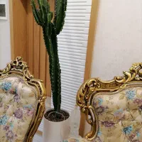 آبخوان سرامیکی (آبیاری هوشمند)|گل و گیاه طبیعی|بیرجند, |دیوار