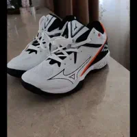 کفش اورجینال