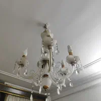 لوستر نونو هستش