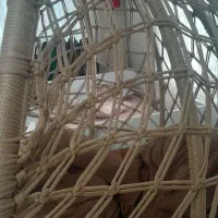 تاب ریلکس|صندلی و نیمکت|نقده, |دیوار