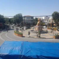 به یک همکار در فروشگاه پروتینی نیازمندیم