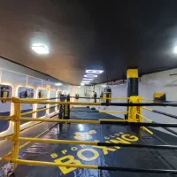 باشگاه ورزشی « بوکسینگ »