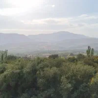 پیش فروش واحد آپارتمان