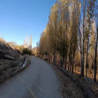 شهرک-بیستون-هوانیروز