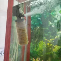 آکواریوم با تمام تجهیزاتش|ماهی|پاکدشت, پاکدشت (مامازند)|دیوار