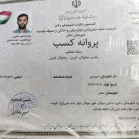 تعمیرات یخچال حمیدی