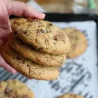 کوکی وکیک خیس