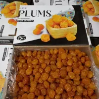 فروش نهال آلوچه زرد سیدی|خدمات باغبانی و درختکاری|مراغه, |دیوار