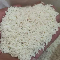 انواع برنج ایرانی فجرسوزنی لاشه سرلاشه طارم
