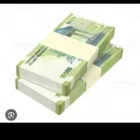 مقداری پول گم شده